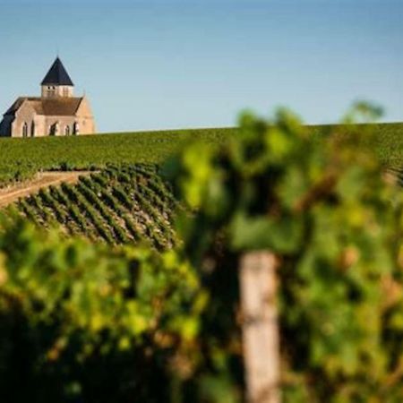 הוילה Saint-Hilaire-les-Andresis Maison De Campagne A 1H20 De Paris מראה חיצוני תמונה