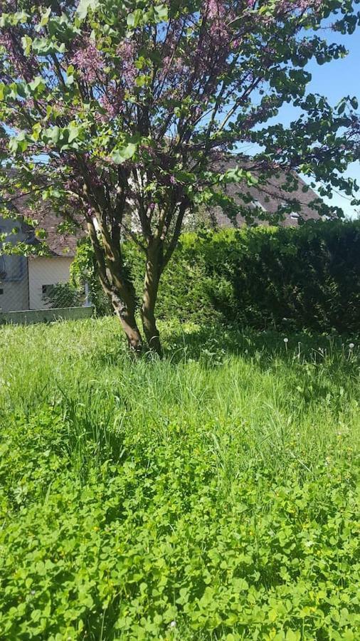 הוילה Saint-Hilaire-les-Andresis Maison De Campagne A 1H20 De Paris מראה חיצוני תמונה